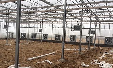 大棚風機蜜桃视频APP永远入口